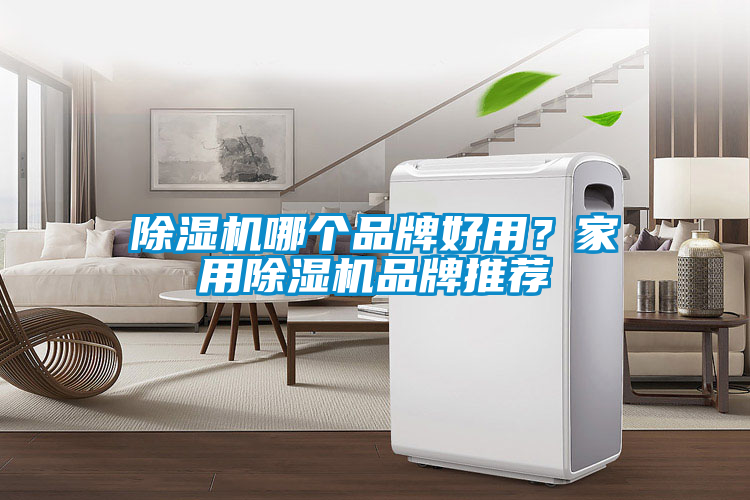 除濕機哪個(gè)品牌好用？家用除濕機品牌推薦
