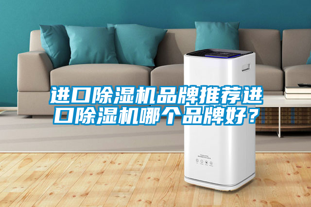 進口除濕機品牌推薦進口除濕機哪個品牌好？