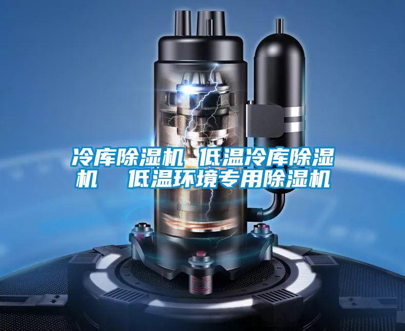 冷庫除濕機 低溫冷庫除濕機  低溫環(huán)境專(zhuān)用除濕機