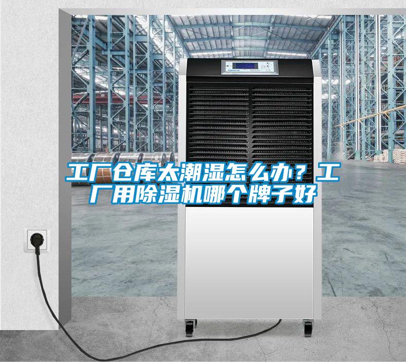 工廠(chǎng)倉庫太潮濕怎么辦？工廠(chǎng)用除濕機哪個(gè)牌子好