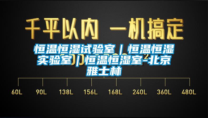 恒溫恒濕試驗室｜恒溫恒濕實(shí)驗室｜恒溫恒濕室-北京雅士林