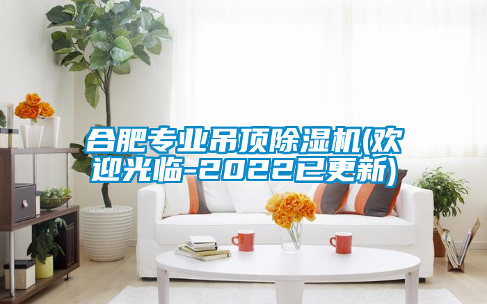 合肥專(zhuān)業(yè)吊頂除濕機(歡迎光臨-2022已更新)