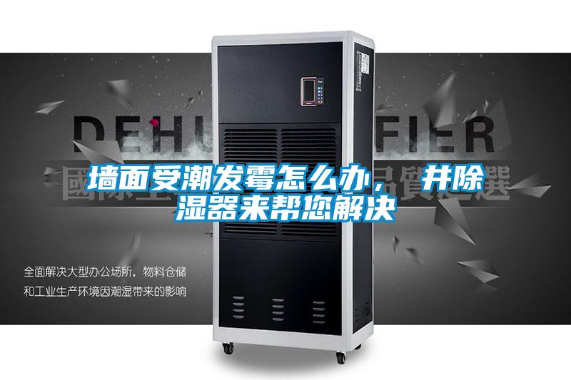 墻面受潮發(fā)霉怎么辦，東井除濕器來(lái)幫您解決