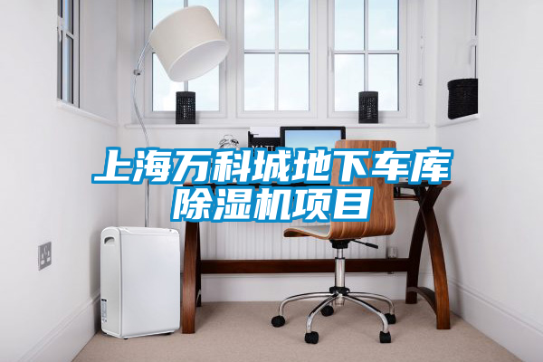 上海萬(wàn)科城地下車(chē)庫除濕機項目