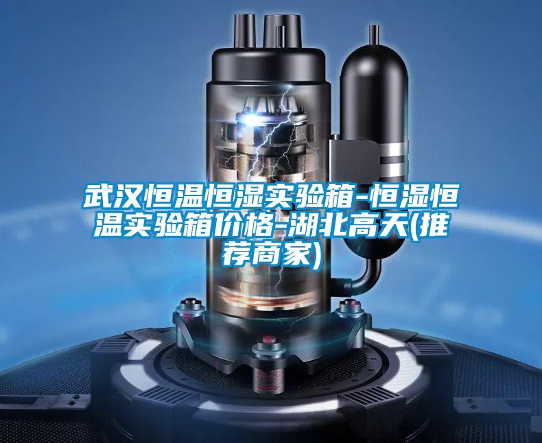 武漢恒溫恒濕實(shí)驗箱-恒濕恒溫實(shí)驗箱價(jià)格-湖北高天(推薦商家)