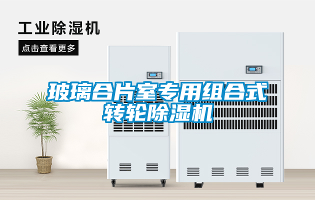 玻璃合片室專(zhuān)用組合式轉輪除濕機