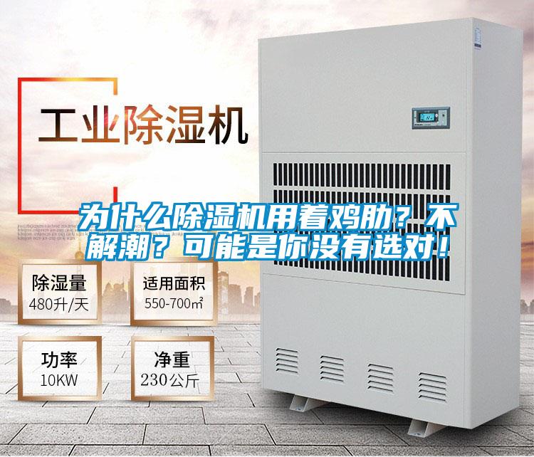 為什么除濕機用著(zhù)雞肋？不解潮？可能是你沒(méi)有選對！