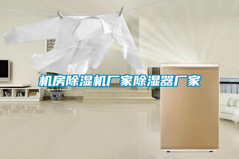 機房除濕機廠(chǎng)家除濕器廠(chǎng)家