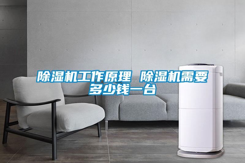 除濕機工作原理 除濕機需要多少錢(qián)一臺