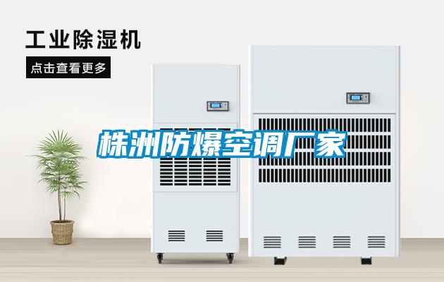 株洲防爆空調廠(chǎng)家