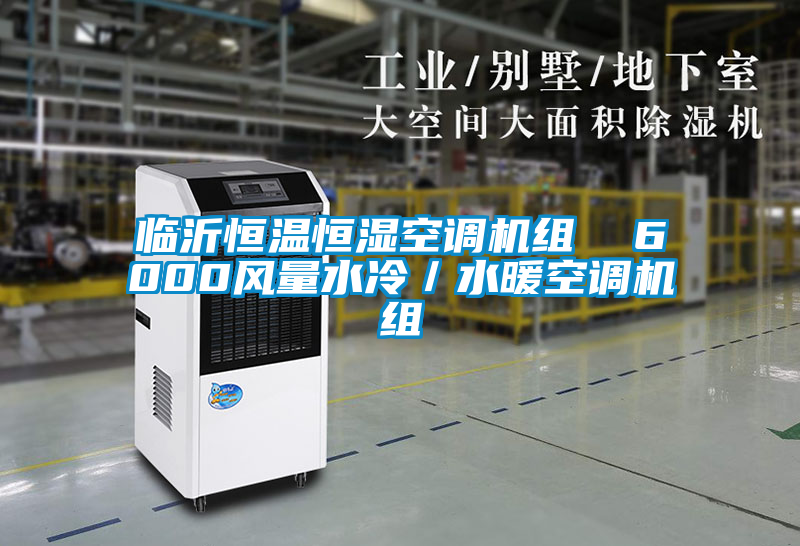 臨沂恒溫恒濕空調機組  6000風(fēng)量水冷／水暖空調機組