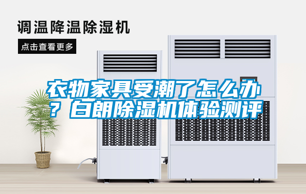 衣物家具受潮了怎么辦？白朗除濕機體驗測評