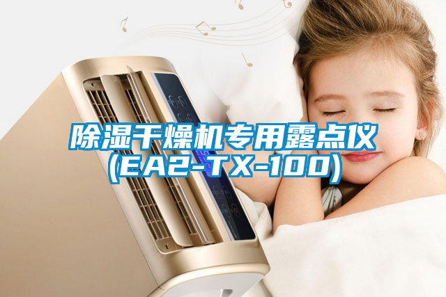 除濕干燥機專(zhuān)用露點(diǎn)儀(EA2-TX-100)