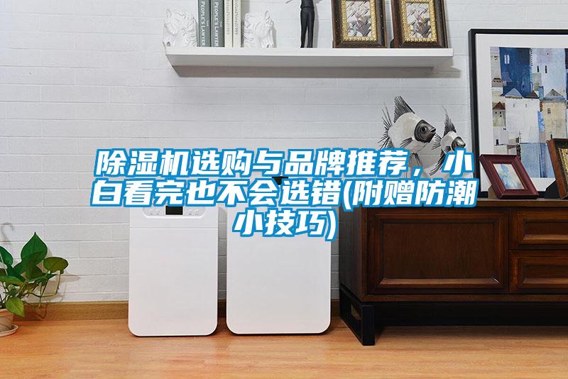 除濕機選購與品牌推薦，小白看完也不會(huì )選錯(附贈防潮小技巧)