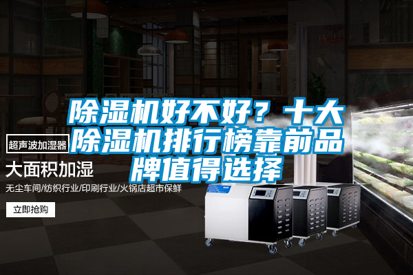 除濕機好不好？十大除濕機排行榜靠前品牌值得選擇
