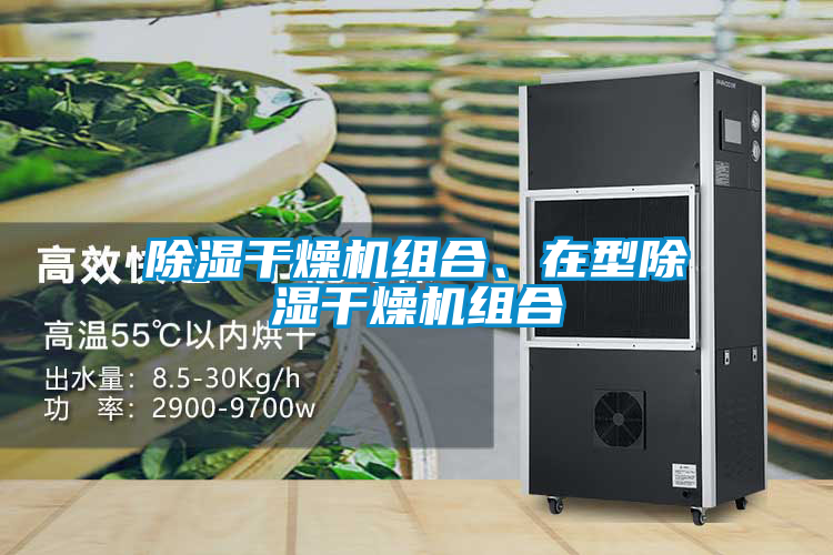 除濕干燥機組合、在型除濕干燥機組合