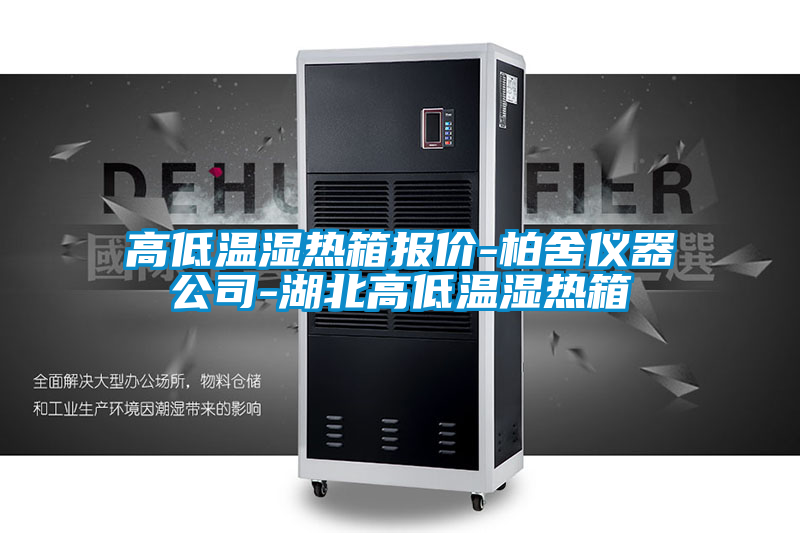 高低溫濕熱箱報價(jià)-柏舍儀器公司-湖北高低溫濕熱箱