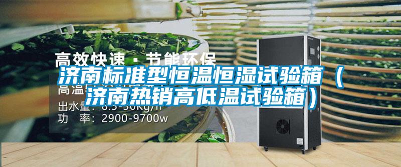 濟南標準型恒溫恒濕試驗箱（濟南熱銷(xiāo)高低溫試驗箱）