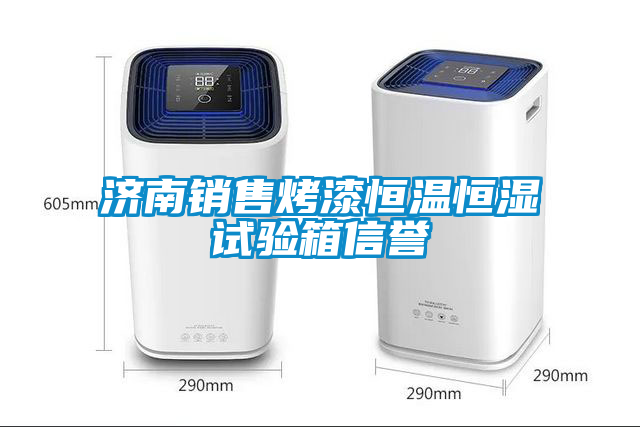 濟南銷(xiāo)售烤漆恒溫恒濕試驗箱信譽(yù)
