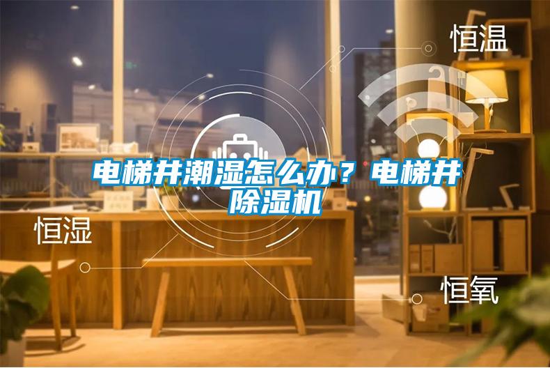 電梯井潮濕怎么辦？電梯井除濕機