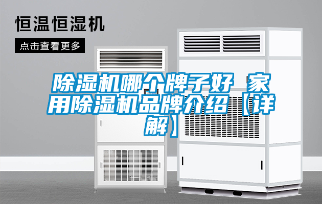 除濕機哪個(gè)牌子好 家用除濕機品牌介紹【詳解】