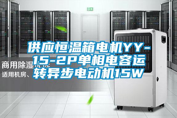 供應恒溫箱電機YY-15-2P單相電容運轉異步電動(dòng)機15W