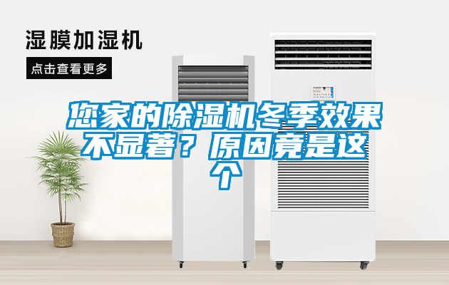 您家的除濕機冬季效果不顯著(zhù)？原因竟是這個(gè)