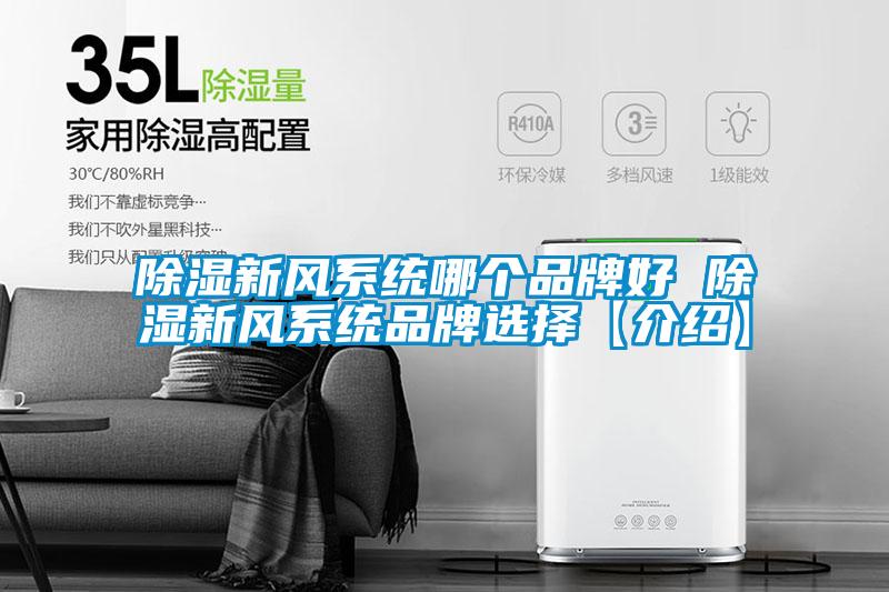 除濕新風(fēng)系統哪個(gè)品牌好 除濕新風(fēng)系統品牌選擇【介紹】