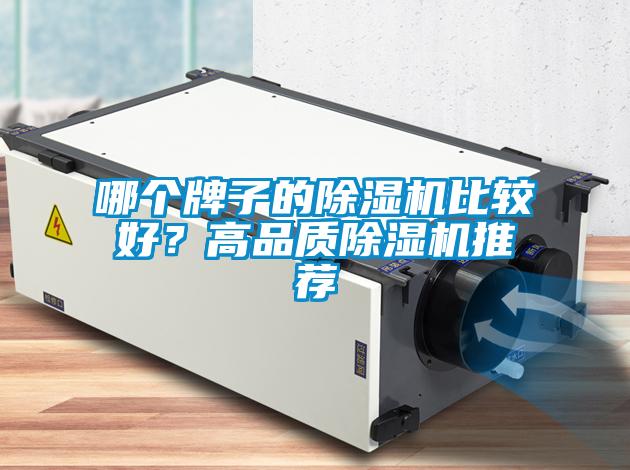 哪個(gè)牌子的除濕機比較好？高品質(zhì)除濕機推薦