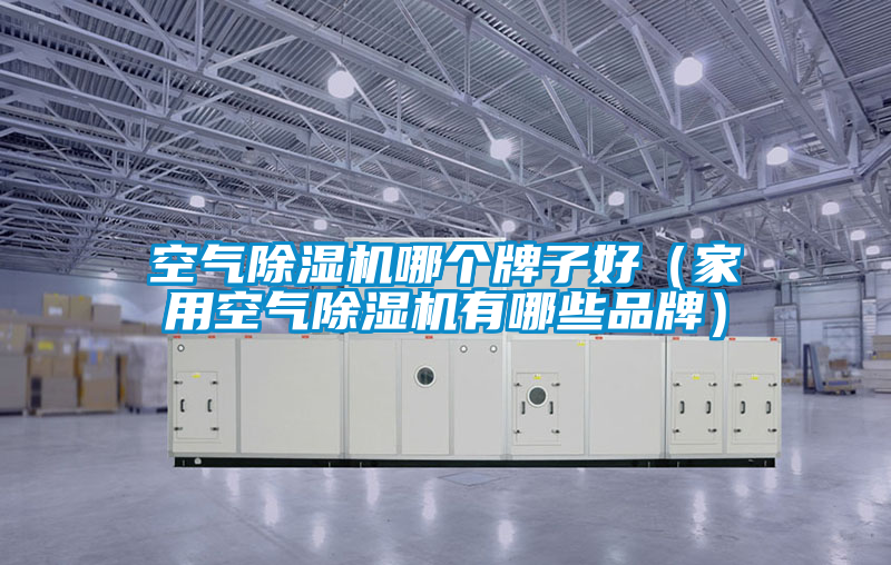 空氣除濕機哪個(gè)牌子好（家用空氣除濕機有哪些品牌）