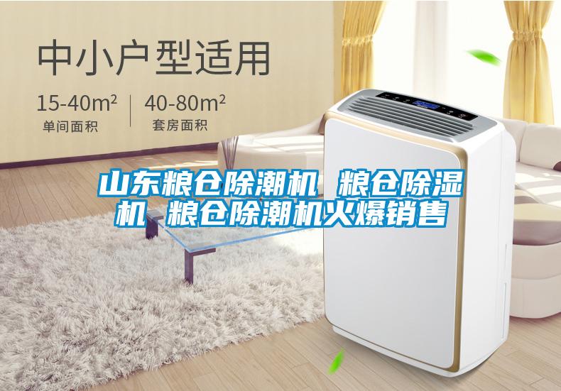 山東糧倉除潮機 糧倉除濕機 糧倉除潮機火爆銷(xiāo)售
