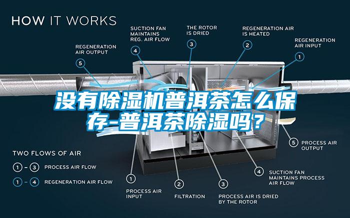 沒(méi)有除濕機普洱茶怎么保存-普洱茶除濕嗎？