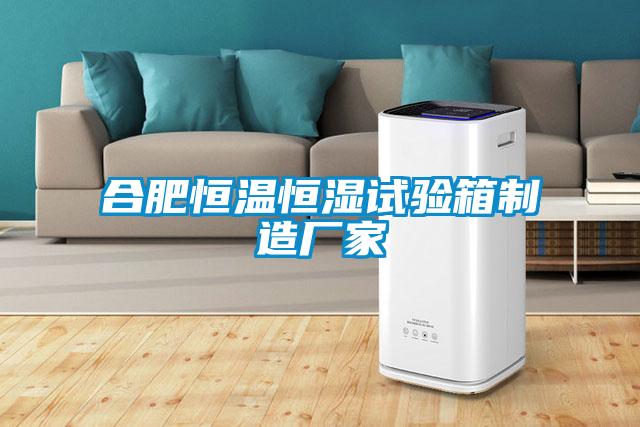 合肥恒溫恒濕試驗箱制造廠(chǎng)家