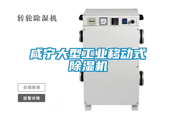 咸寧大型工業(yè)移動(dòng)式除濕機