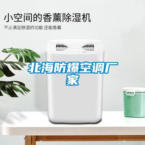 北海防爆空調廠(chǎng)家