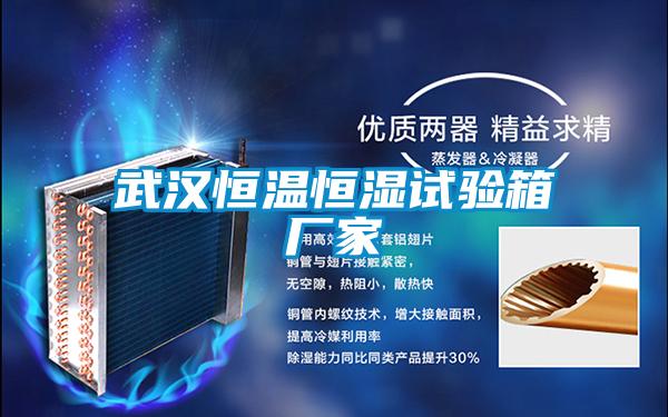 武漢恒溫恒濕試驗箱廠(chǎng)家