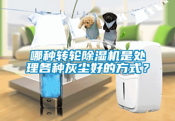 哪種轉輪除濕機是處理各種灰塵好的方式？