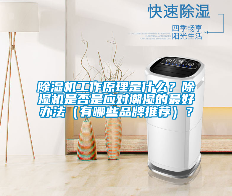 除濕機工作原理是什么？除濕機是否是應對潮濕的最好辦法（有哪些品牌推薦）？
