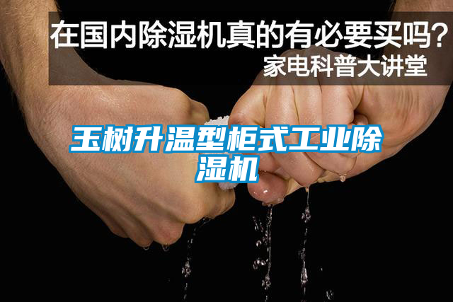 玉樹(shù)升溫型柜式工業(yè)除濕機