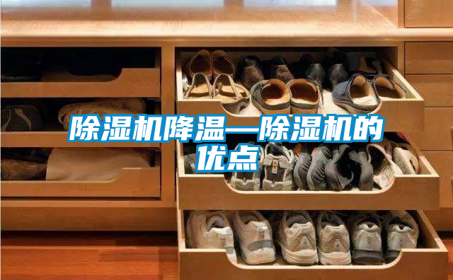 除濕機降溫—除濕機的優(yōu)點(diǎn)
