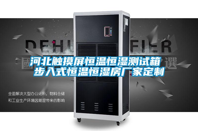 河北觸摸屏恒溫恒濕測試箱 步入式恒溫恒濕房廠(chǎng)家定制