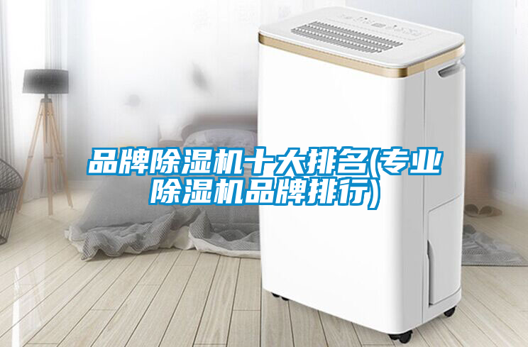 品牌除濕機十大排名(專(zhuān)業(yè)除濕機品牌排行)