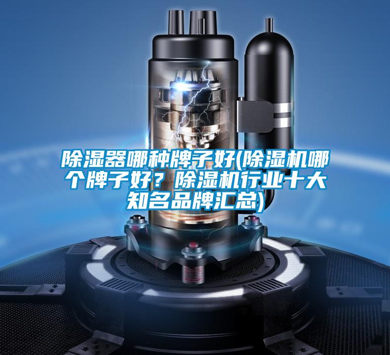 除濕器哪種牌子好(除濕機哪個(gè)牌子好？除濕機行業(yè)十大知名品牌匯總)