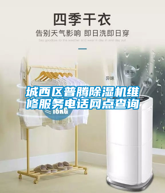 城西區普騰除濕機維修服務(wù)電話(huà)網(wǎng)點(diǎn)查詢(xún)
