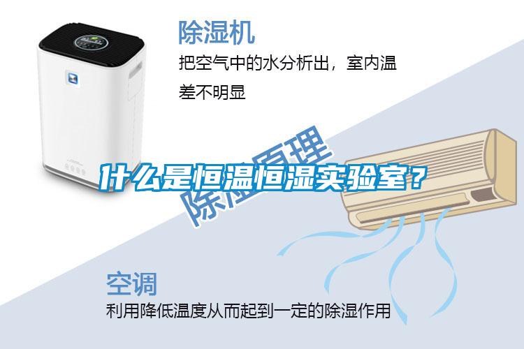 什么是恒溫恒濕實(shí)驗室？
