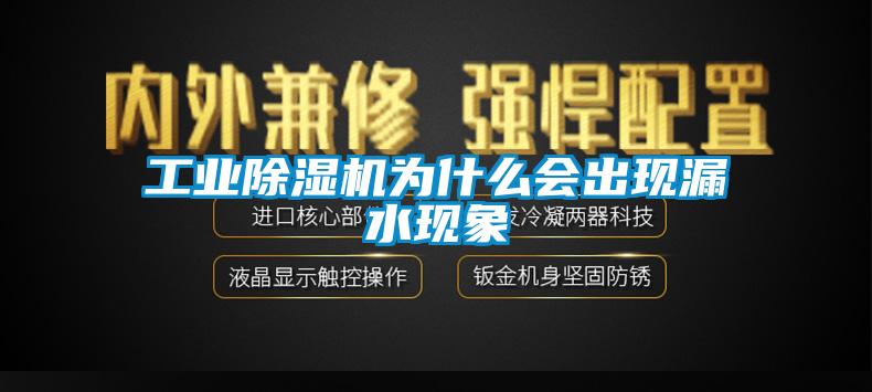 工業(yè)除濕機為什么會(huì )出現漏水現象