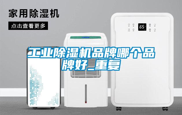 工業(yè)除濕機品牌哪個(gè)品牌好_重復