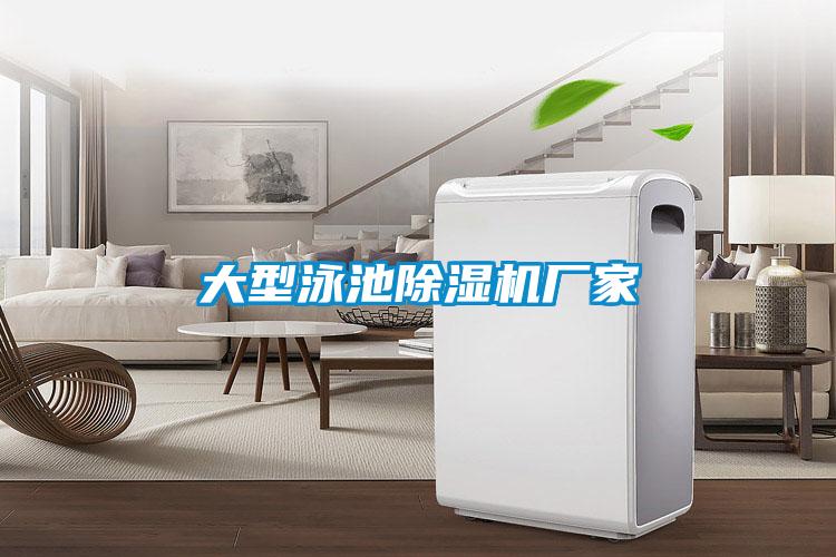 大型泳池除濕機廠(chǎng)家