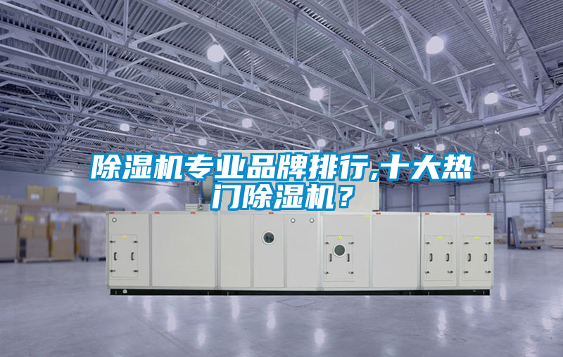 除濕機專(zhuān)業(yè)品牌排行,十大熱門(mén)除濕機？