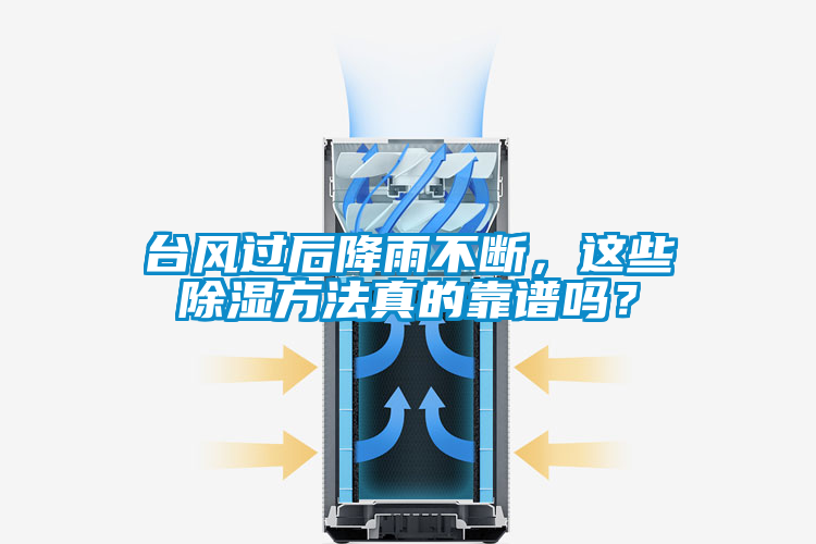 臺風(fēng)過(guò)后降雨不斷，這些除濕方法真的靠譜嗎？